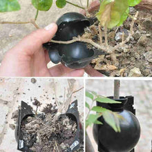 Load image into Gallery viewer, Plant Rooting Ball Grafting Rooting Growing Box Breeding Case for Garden

